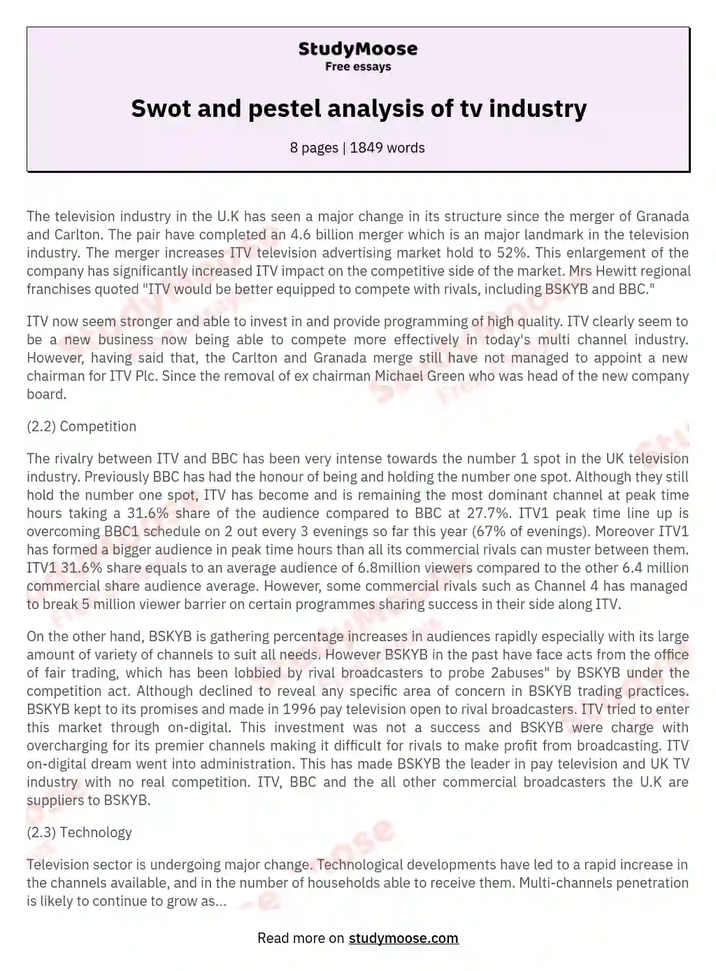 Internal Analysis of MTV Chanel Free Essay Example