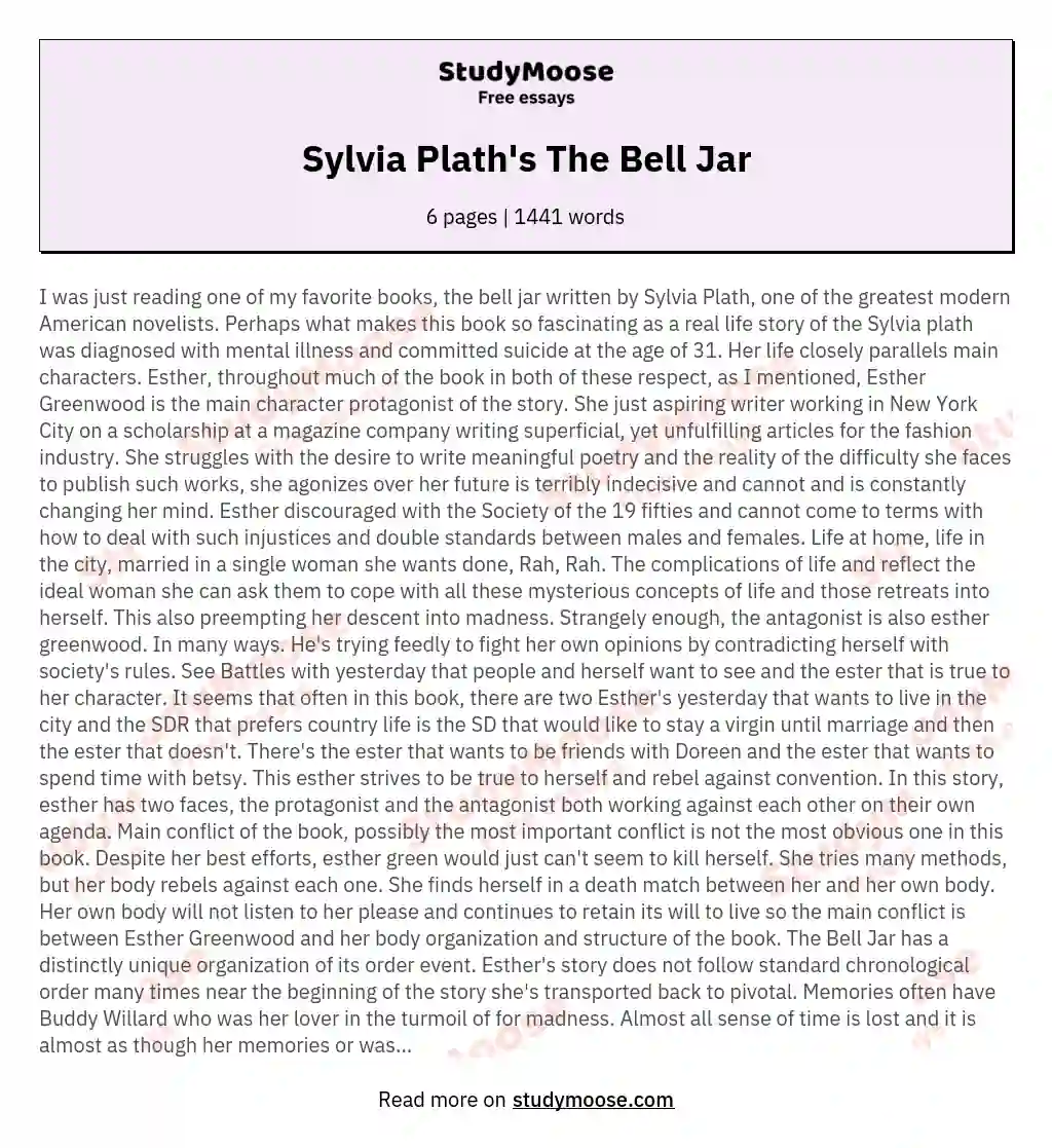 Sylvia Plath's The Bell Jar essay