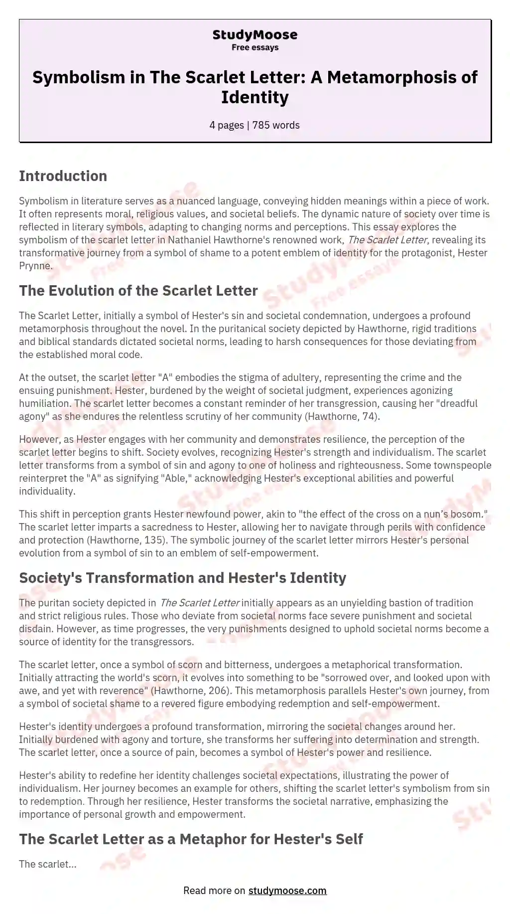 Symbolism in The Scarlet Letter: A Metamorphosis of Identity essay