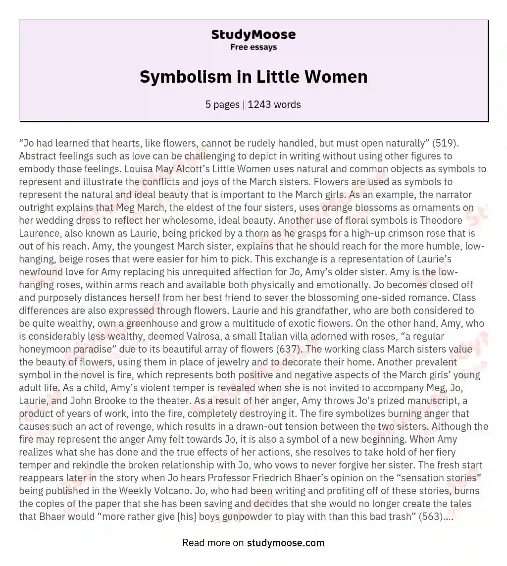 Symbolism in Little Women essay