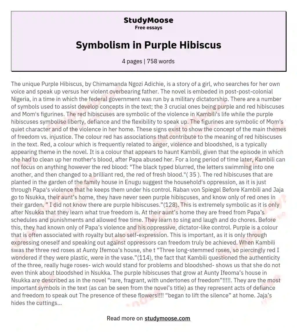 Symbolism in Purple Hibiscus essay