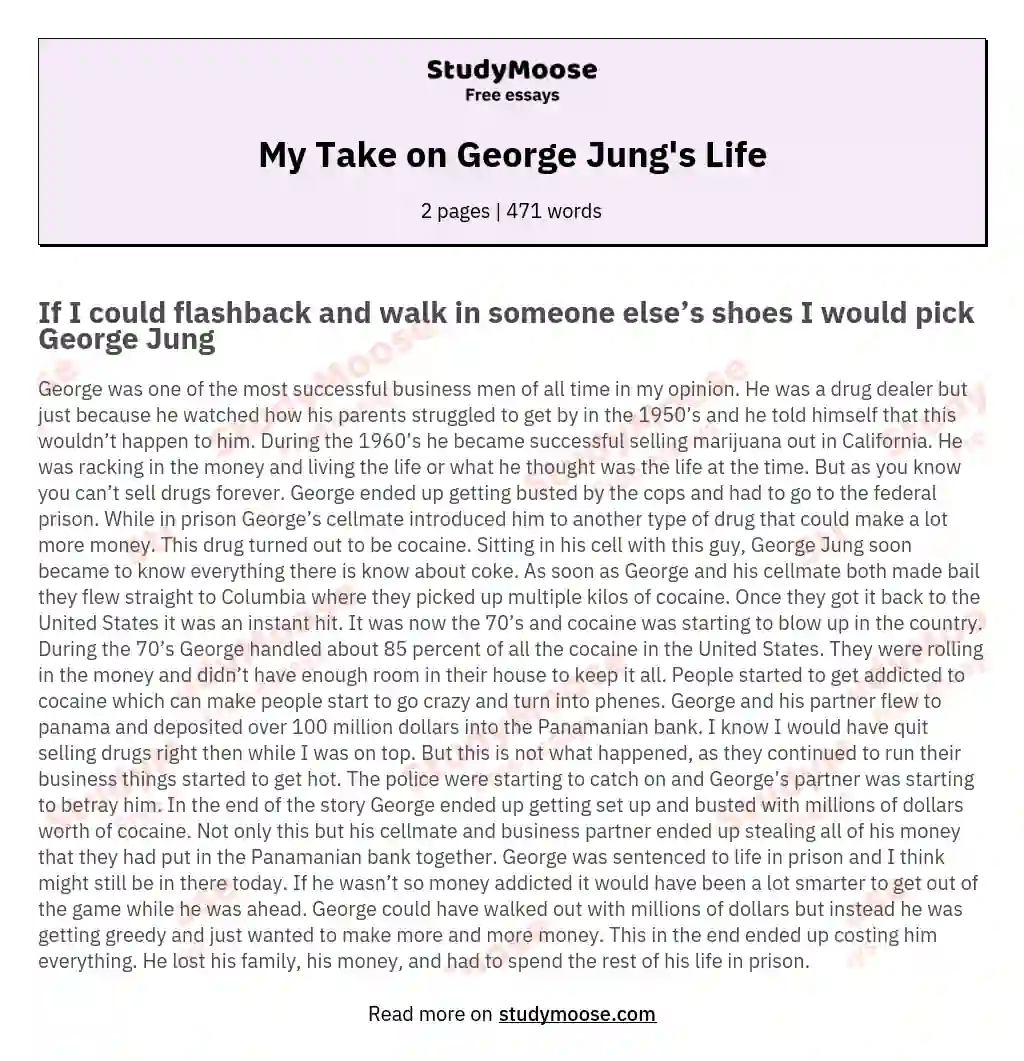 My Take on George Jung's Life essay