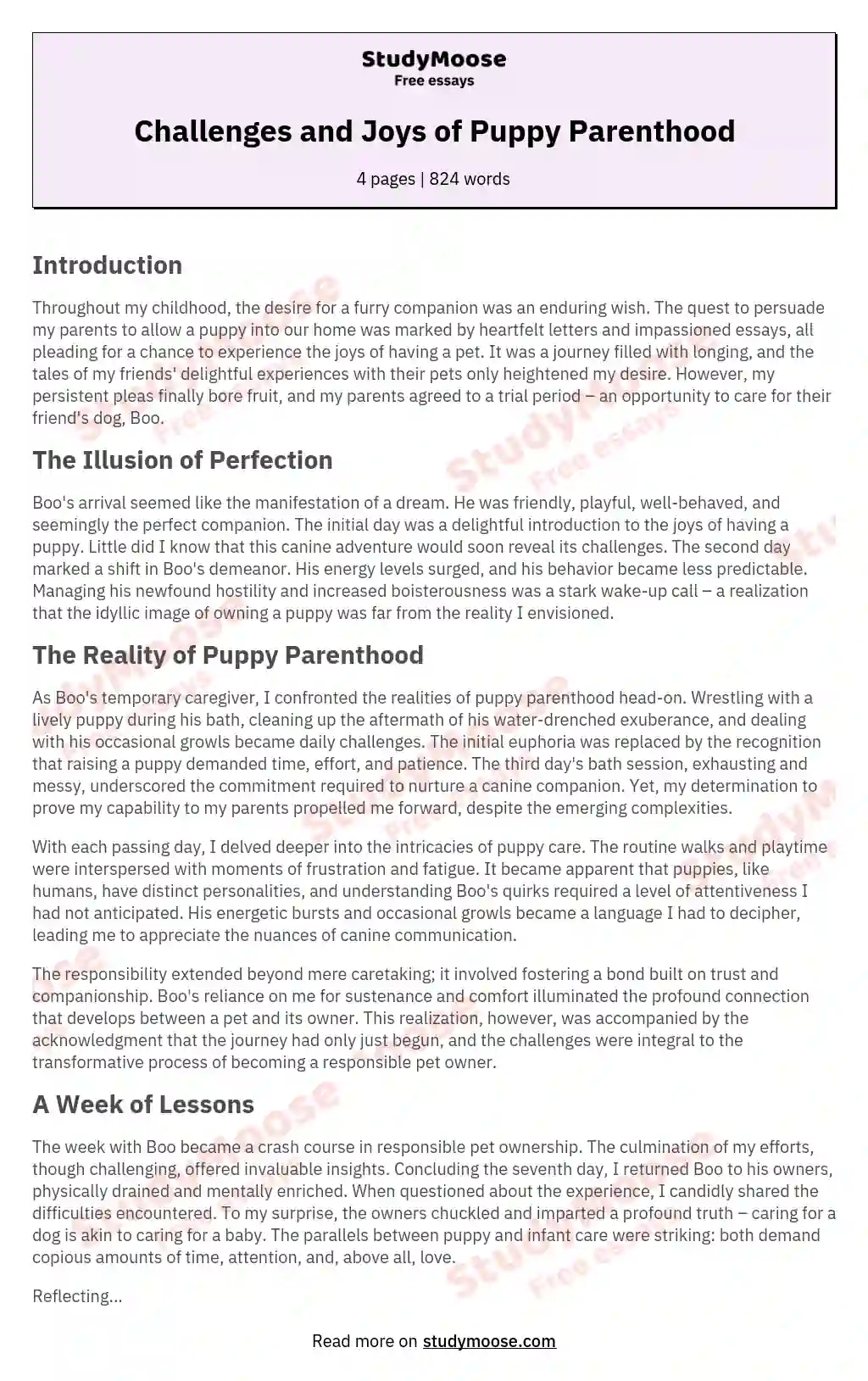 Challenges and Joys of Puppy Parenthood essay