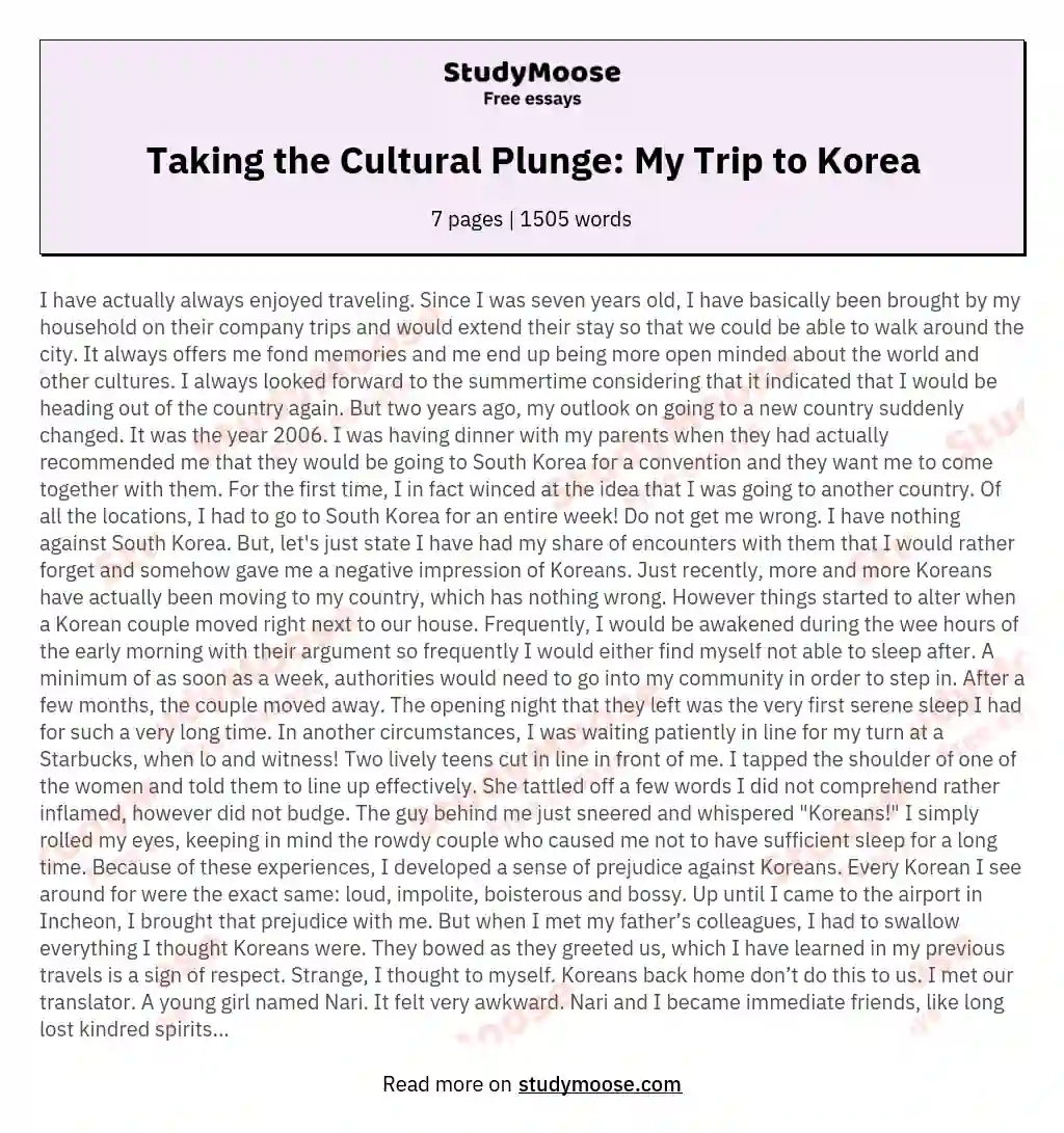Taking the Cultural Plunge: My Trip to Korea essay