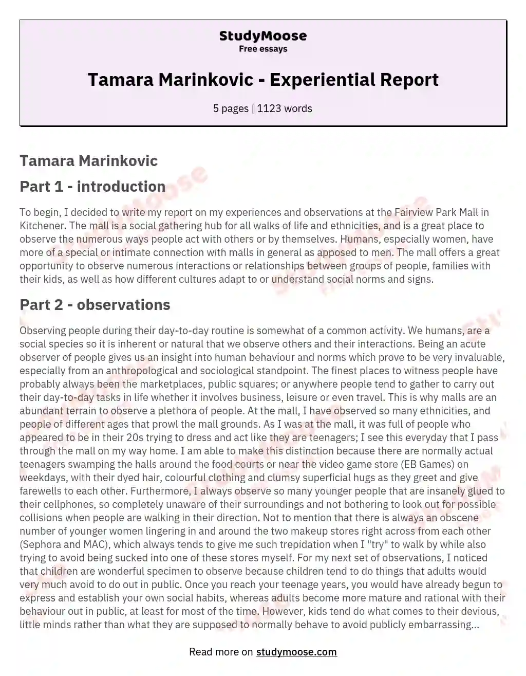 Tamara Marinkovic - Experiential Report essay