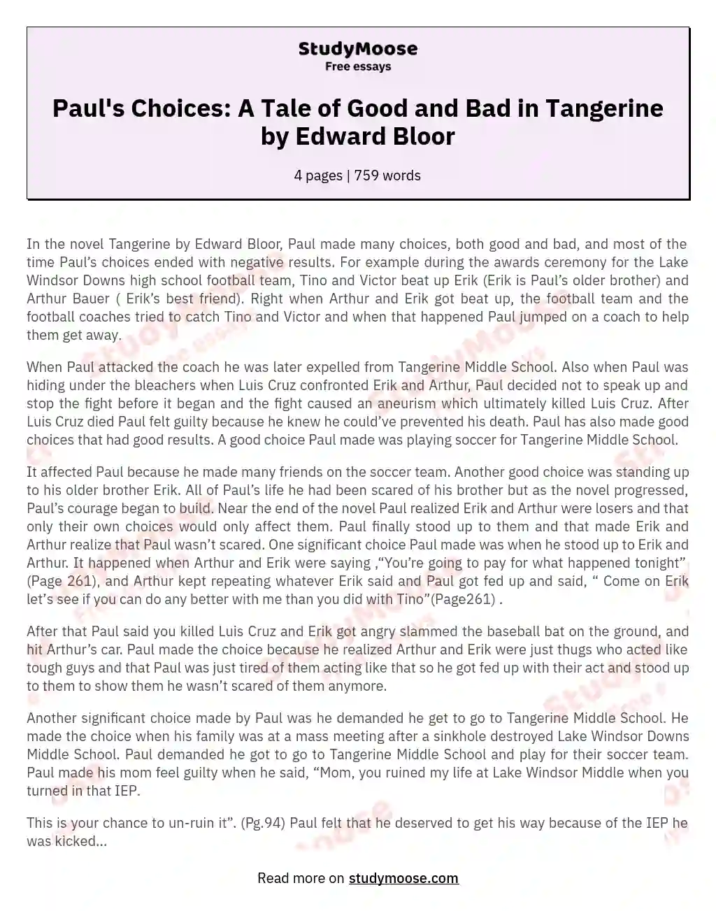 Paul's Choices: A Tale of Good and Bad in Tangerine by Edward Bloor essay