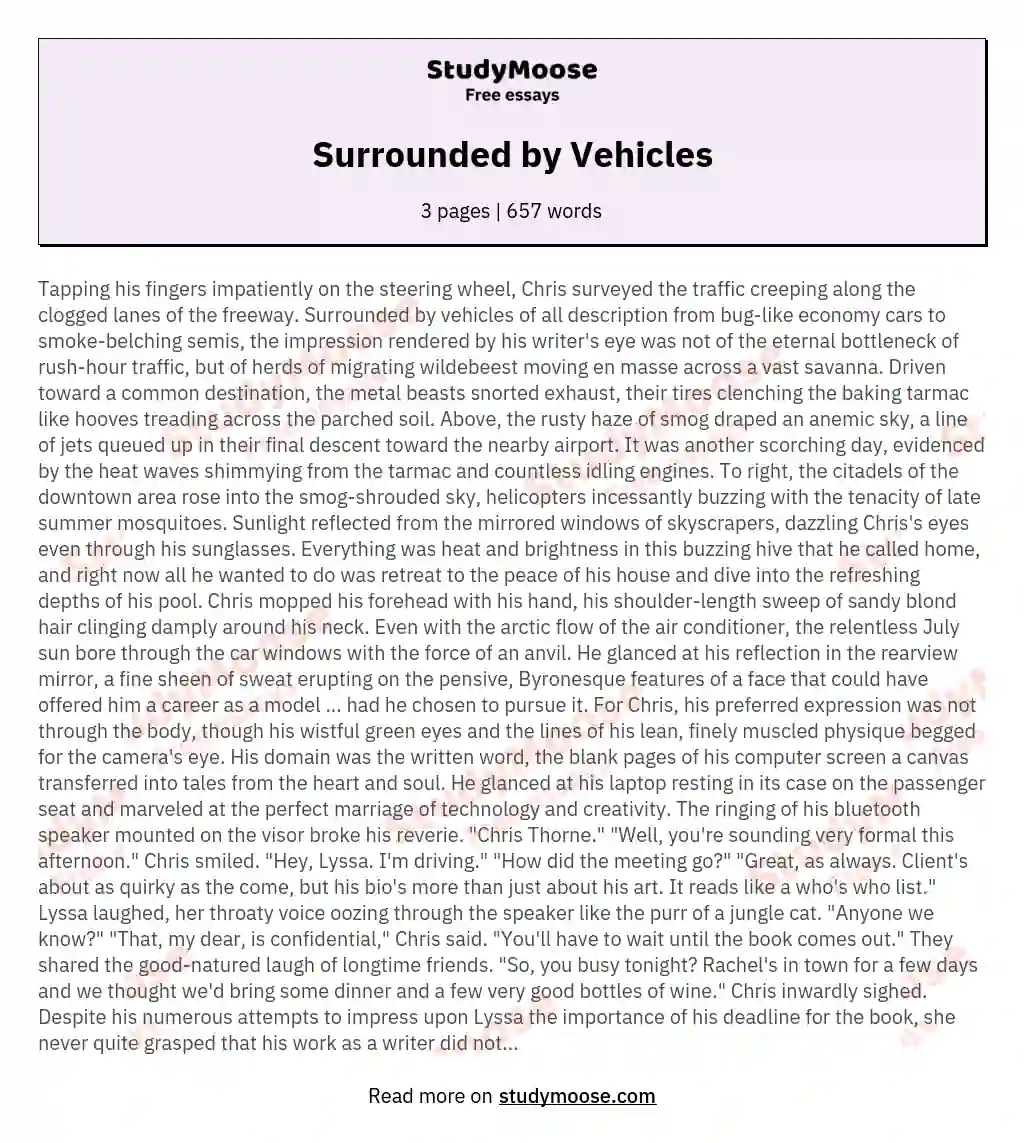 Surrounded by Vehicles essay