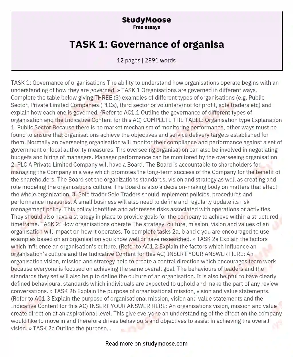 TASK 1: Governance of organisa essay