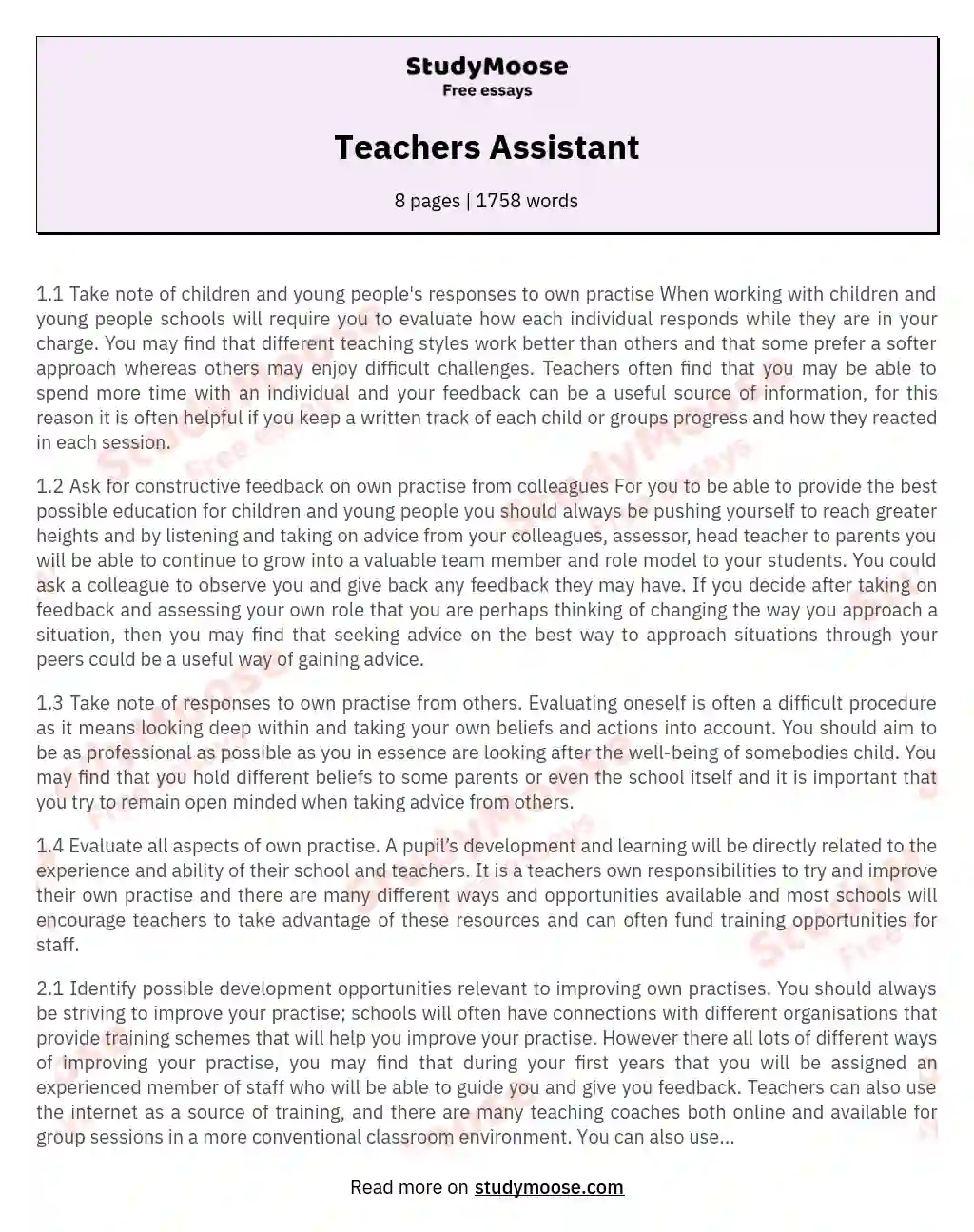 Teachers Assistant essay