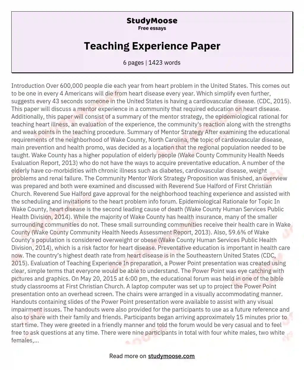 Teaching Experience Paper essay