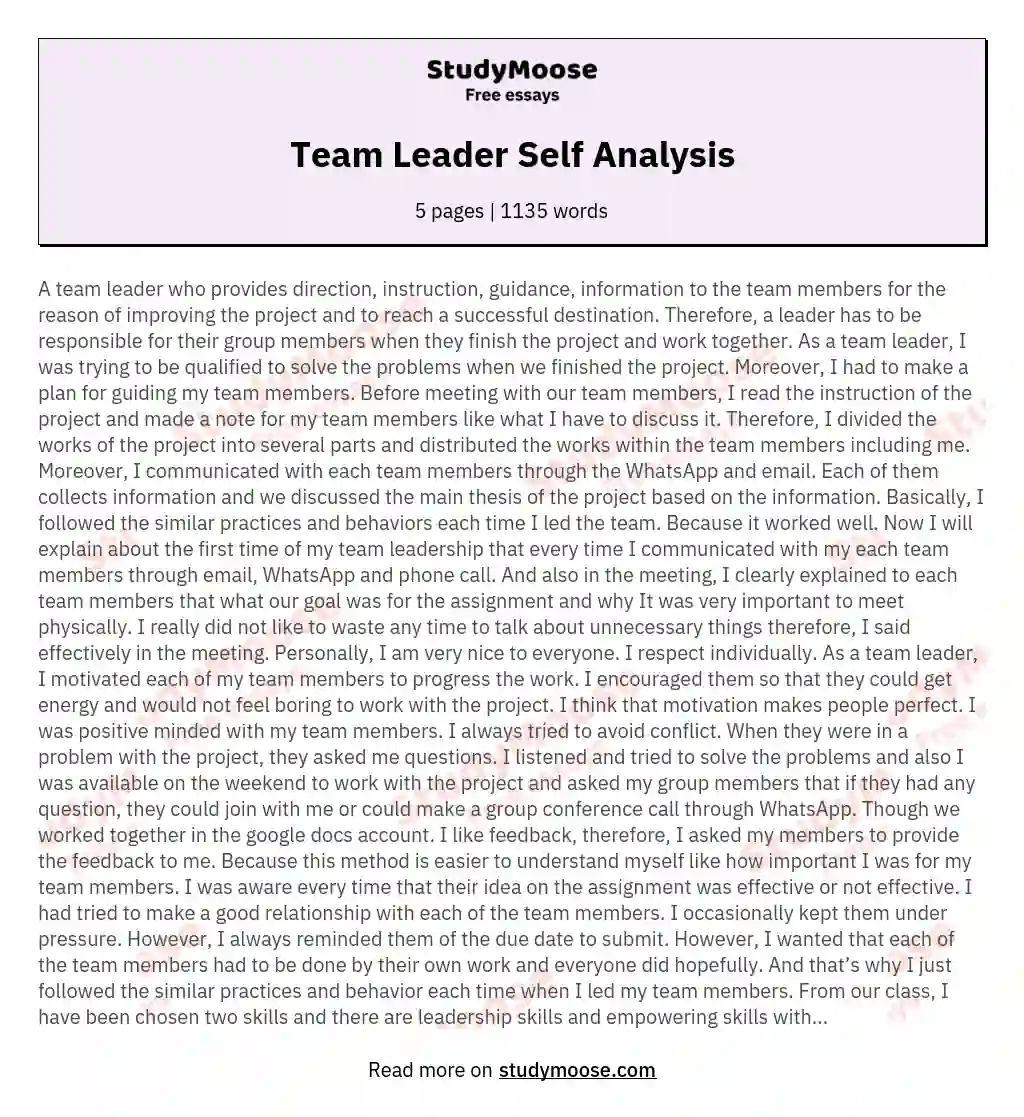 Team Leader Self Analysis essay