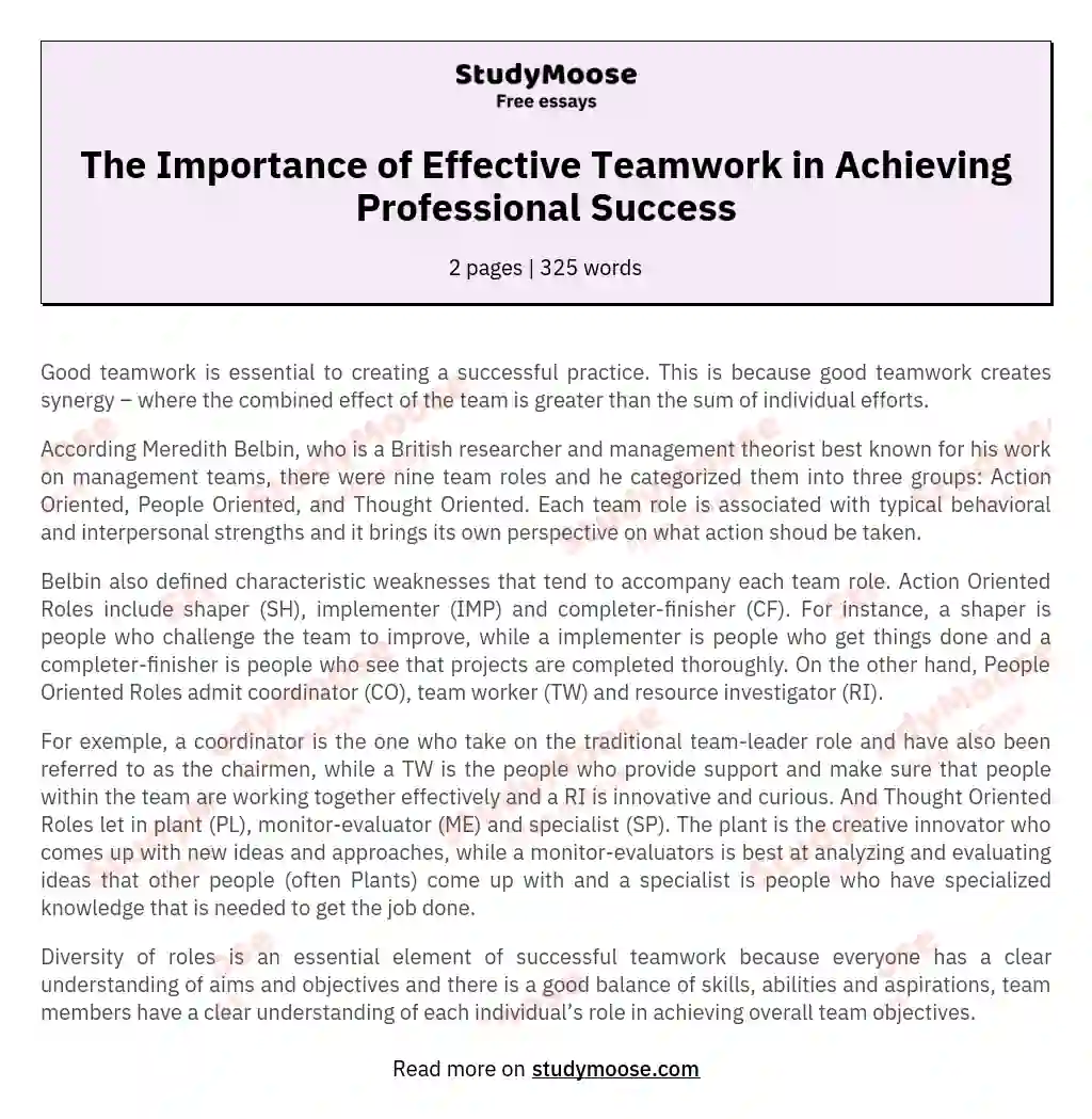 The Importance of Effective Teamwork in Achieving Professional Success essay