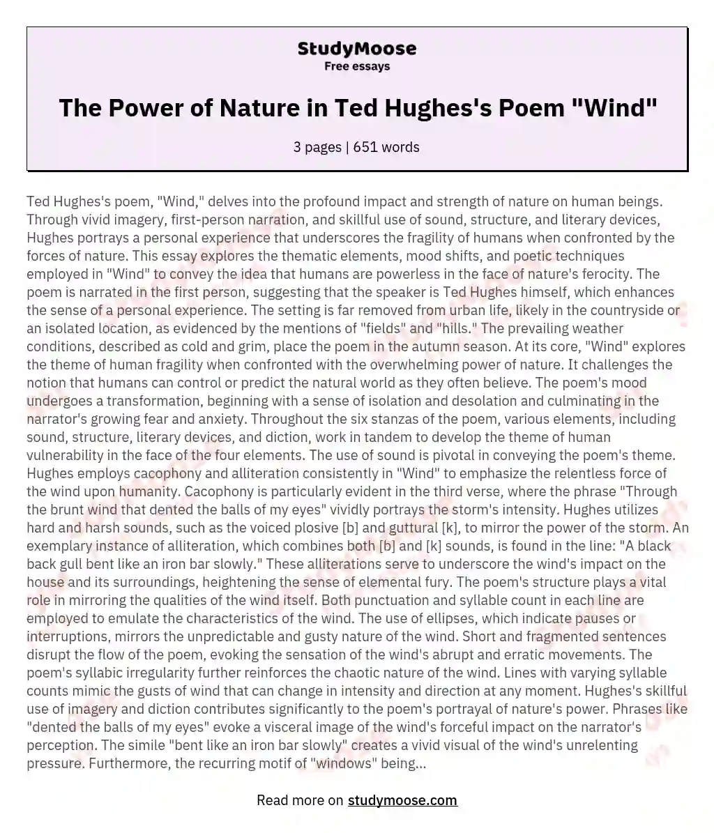 The Power of Nature in Ted Hughes's Poem "Wind" essay