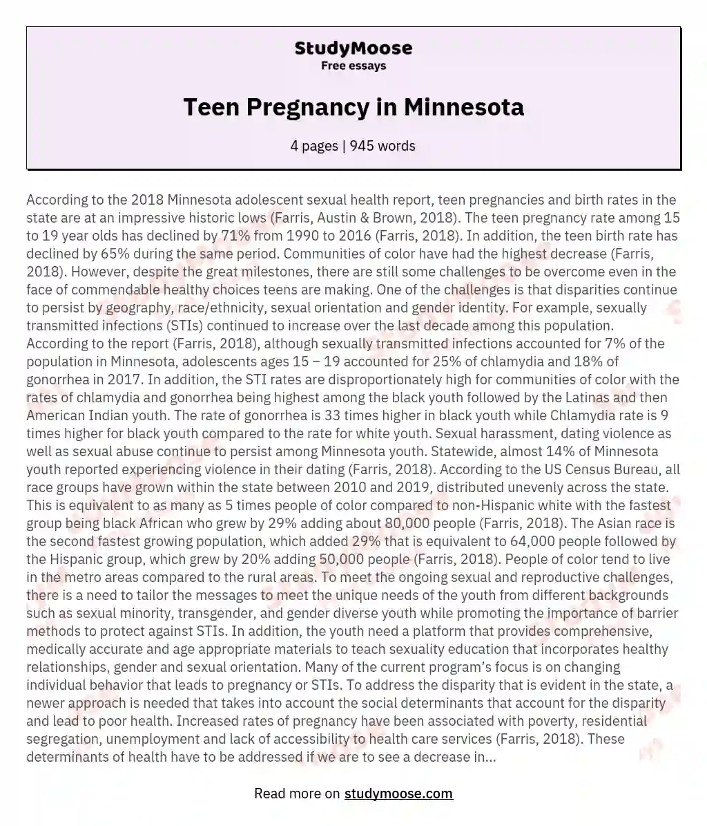 Teen Pregnancy in Minnesota essay