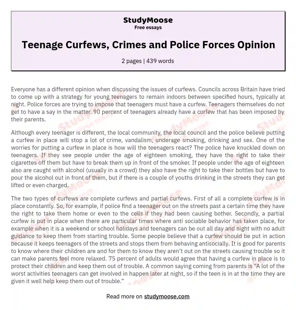 Teenage Curfews, Crimes and Police Forces Opinion essay