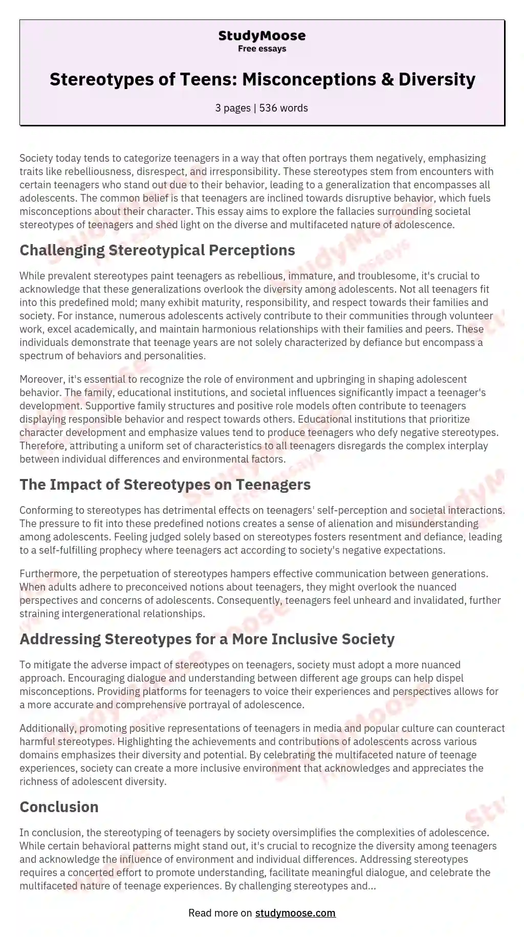 Stereotypes of Teens: Misconceptions & Diversity essay