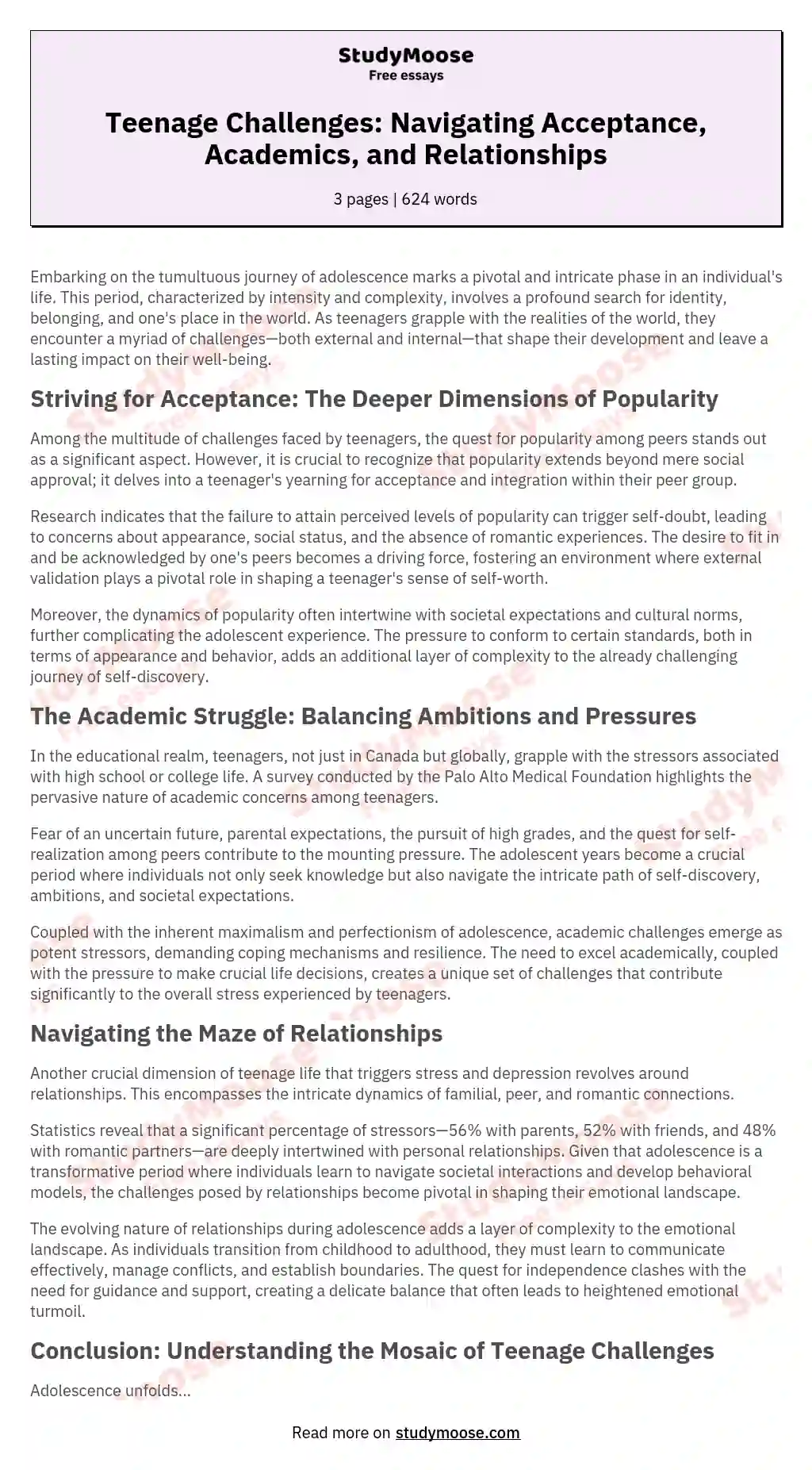 Teenage Challenges: Navigating Acceptance, Academics, and Relationships essay