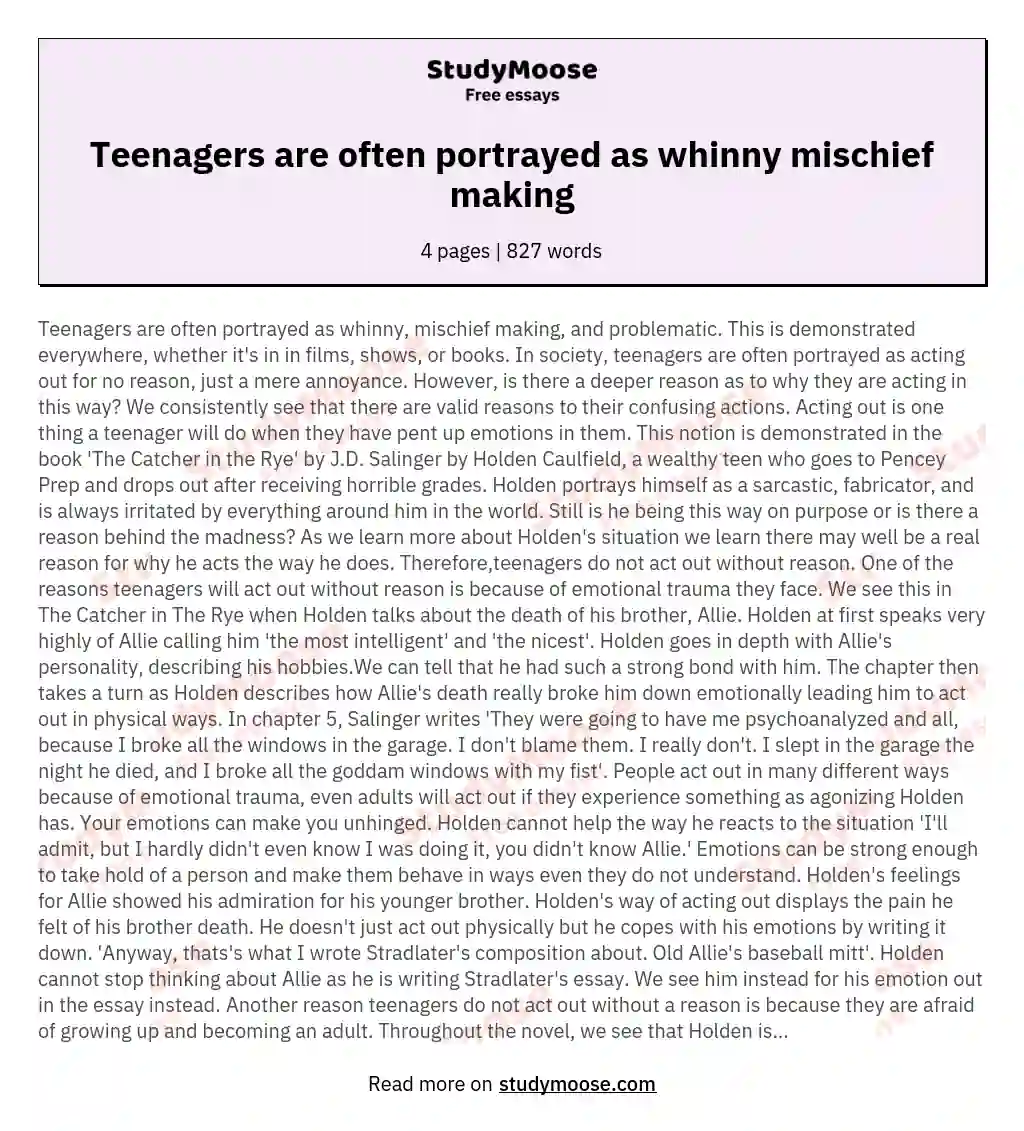 Teenagers are often portrayed as whinny mischief making essay