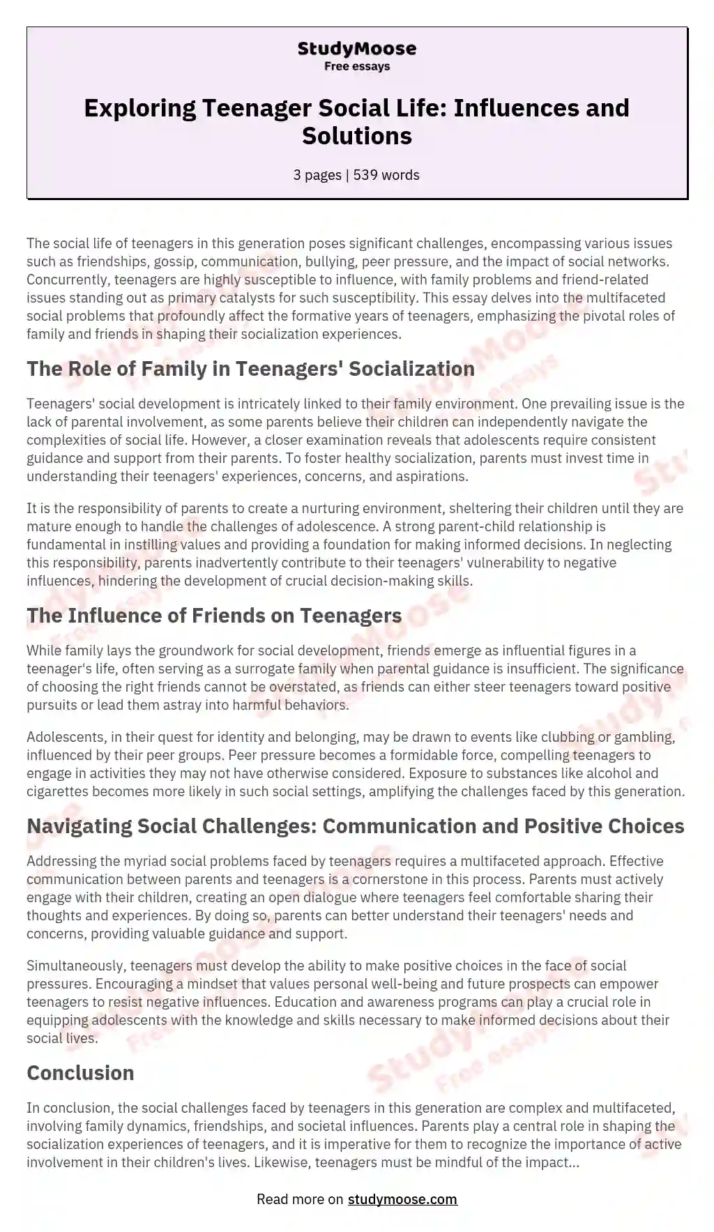 Exploring Teenager Social Life: Influences and Solutions essay