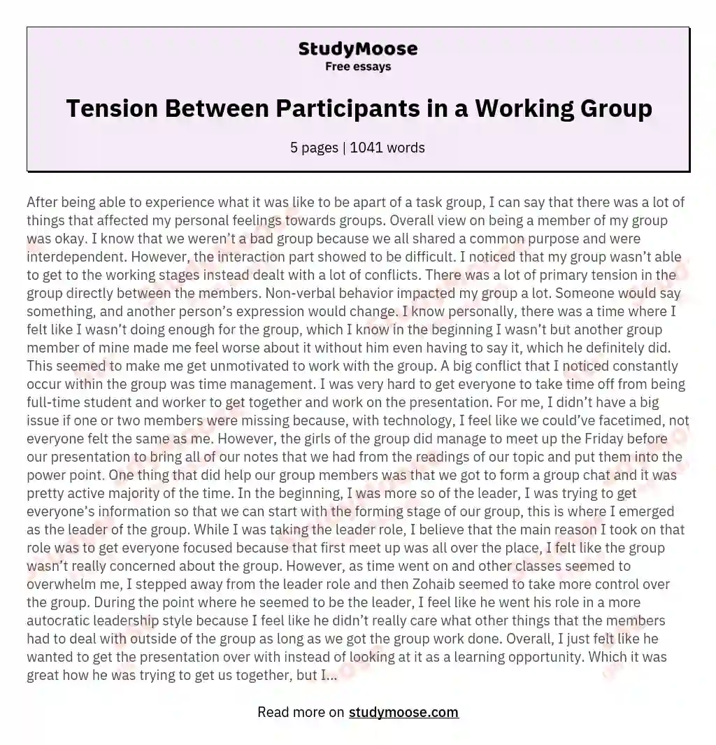 Tension Between Participants in a Working Group essay