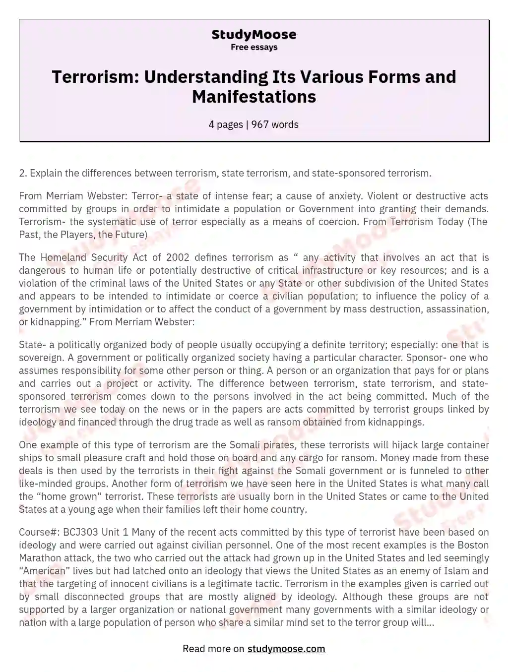 Terrorism: Understanding Its Various Forms and Manifestations essay