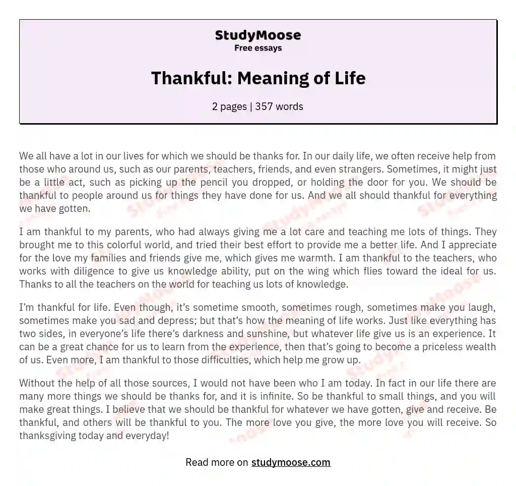 Thankful: Meaning of Life essay