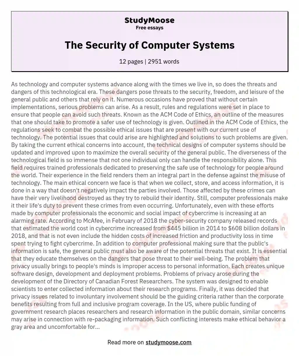 The Security of Computer Systems essay