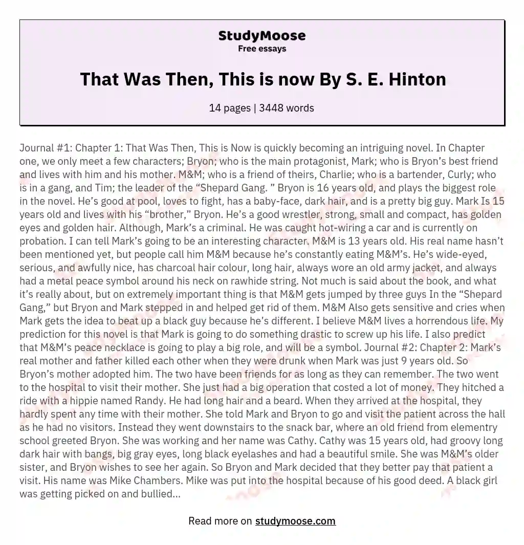 That Was Then, This is now By S. E. Hinton