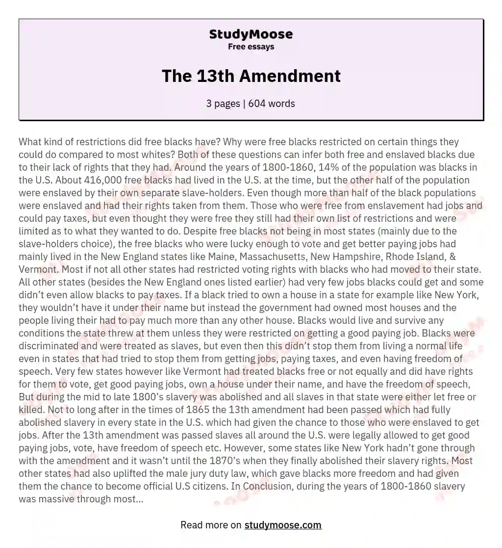 The 13th Amendment essay