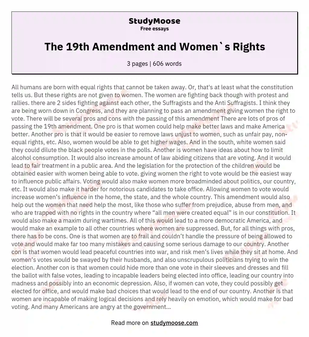 The 19th Amendment and Women`s Rights essay
