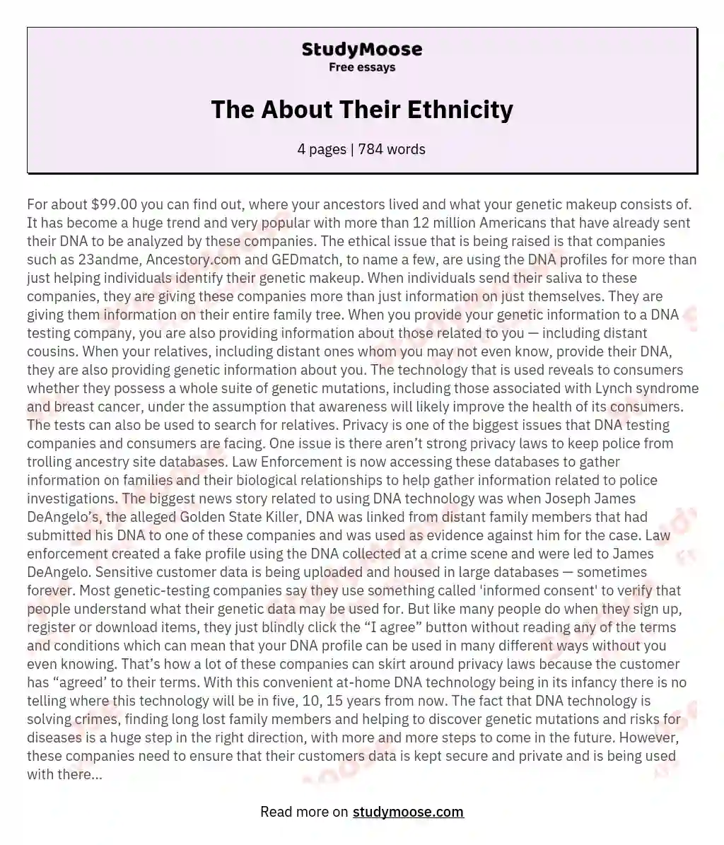 The About Their Ethnicity essay