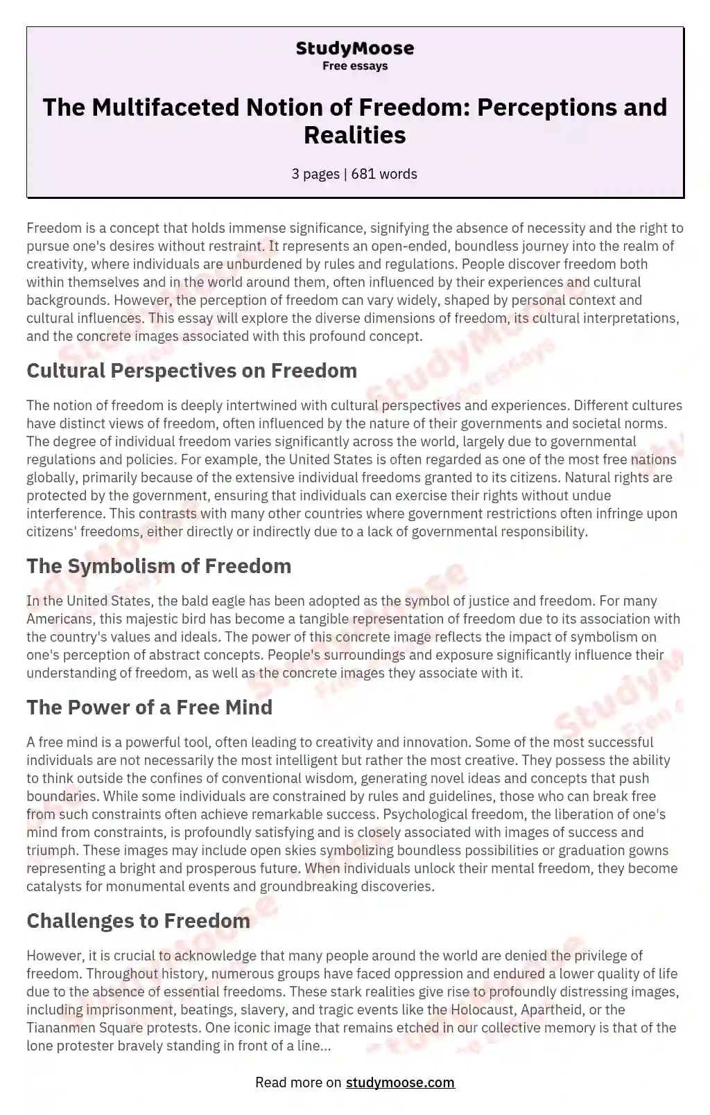 The Multifaceted Notion of Freedom: Perceptions and Realities essay