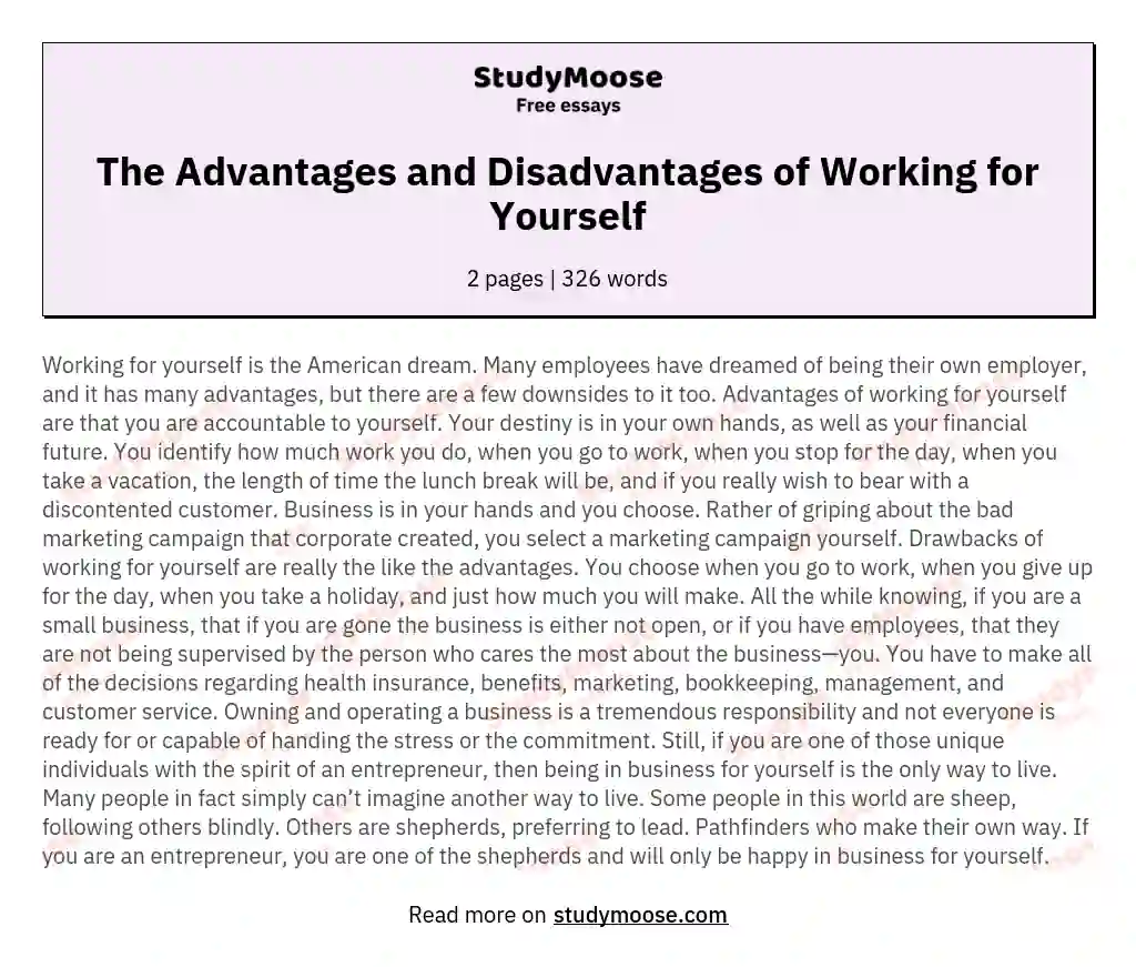 The Advantages and Disadvantages of Working for Yourself