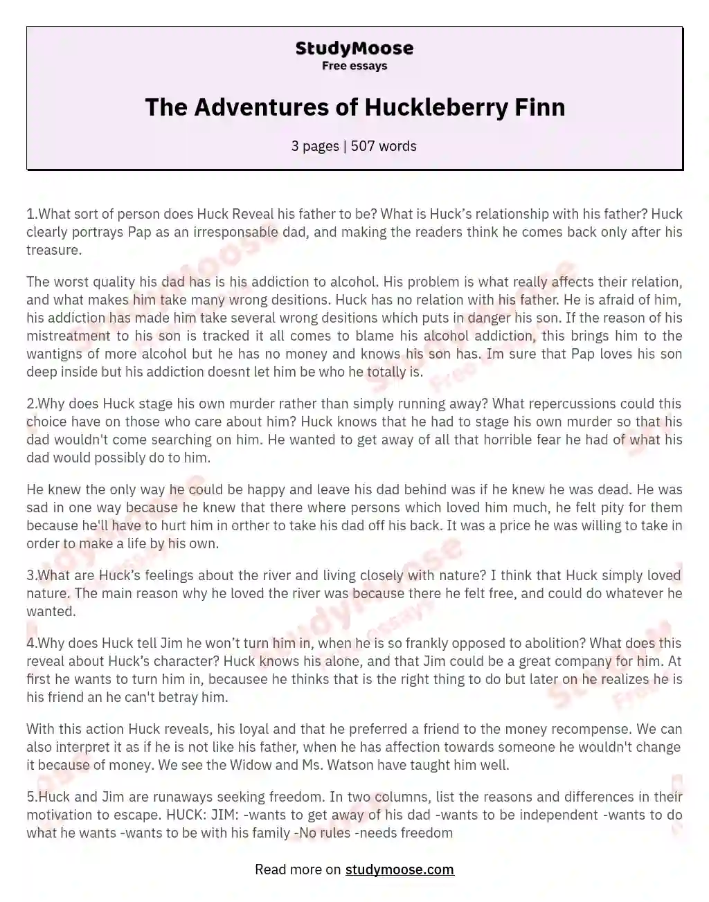 The Adventures of Huckleberry Finn essay