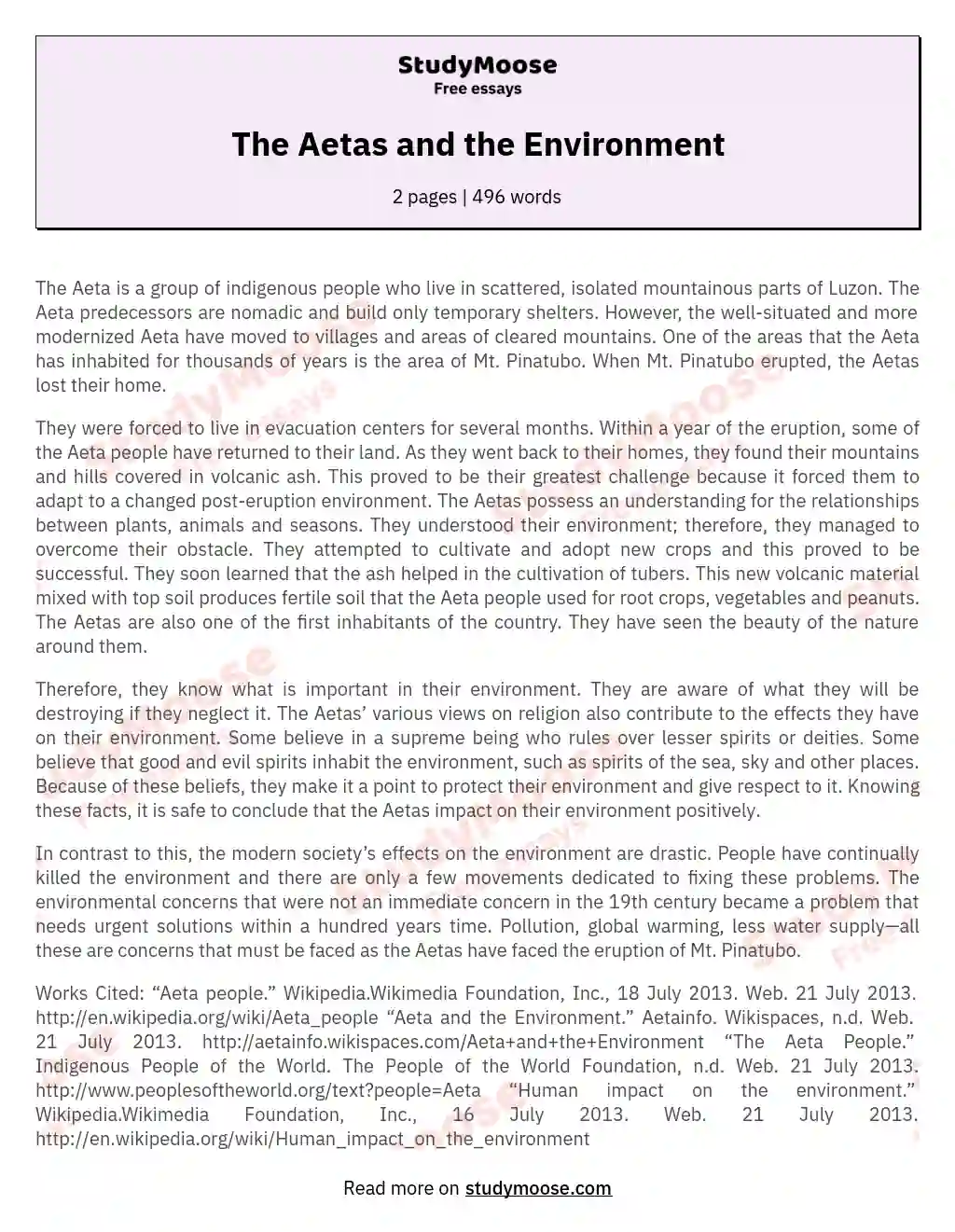 The Aeta People: Guardians of the Environment essay