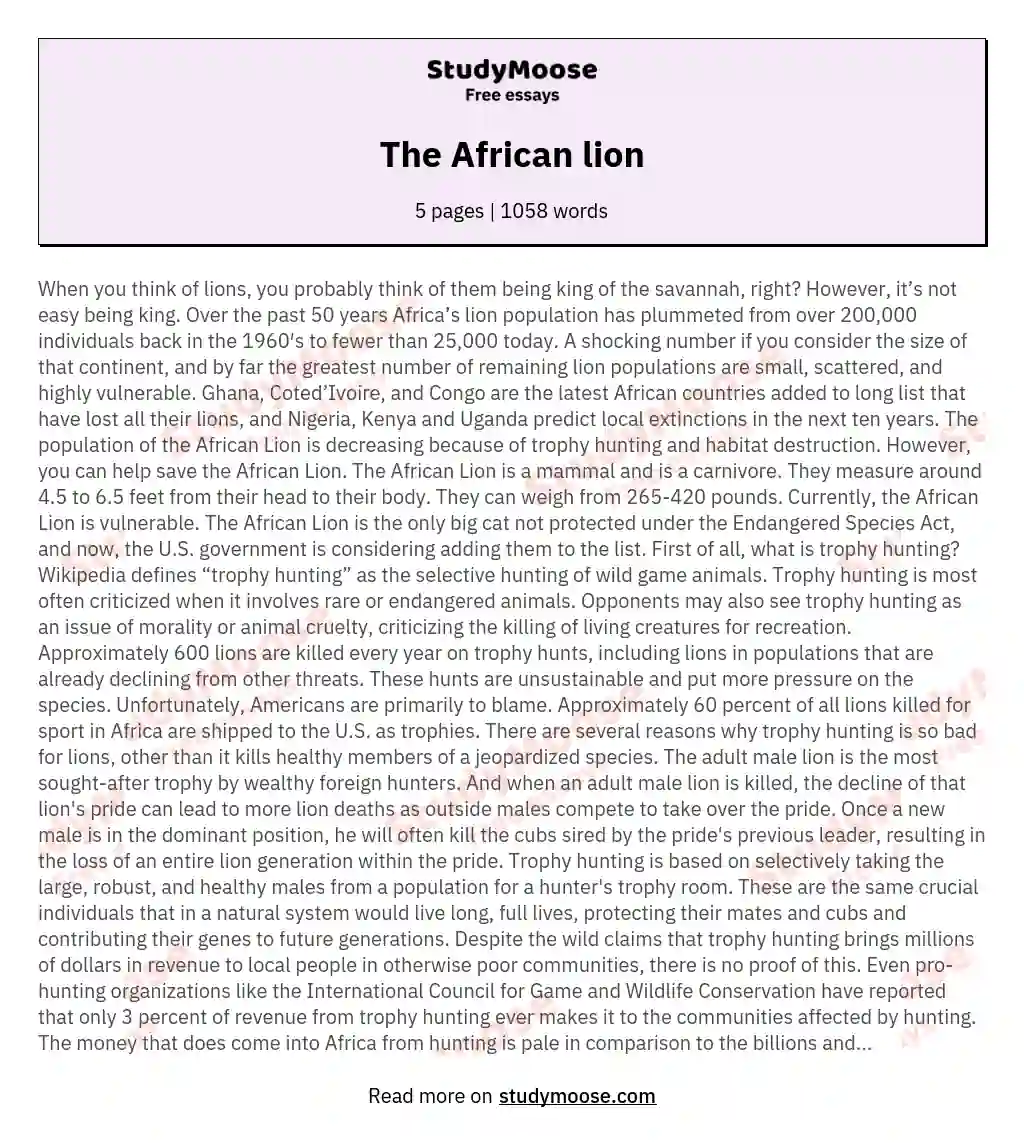 The African lion essay