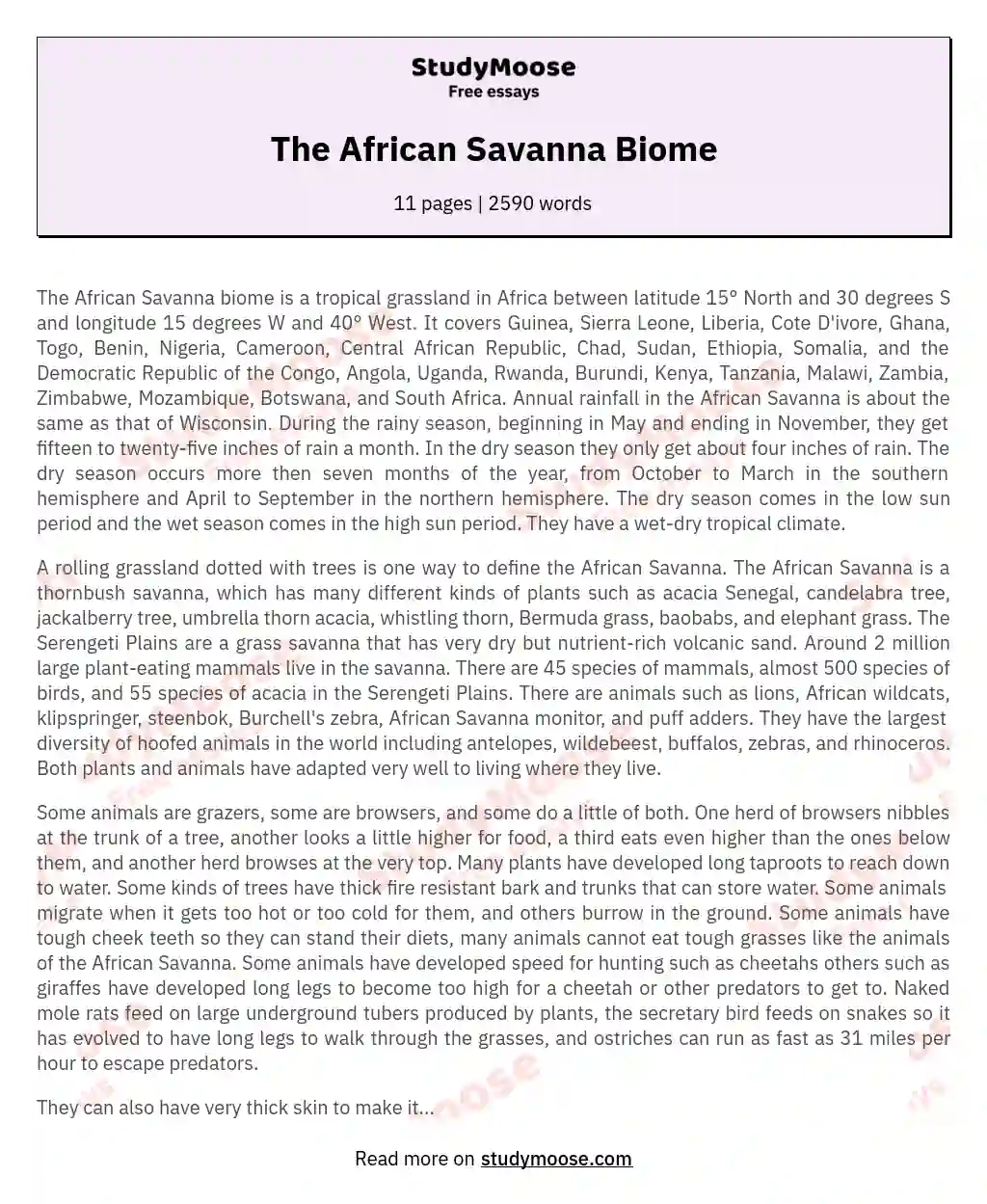 The African Savanna Biome essay