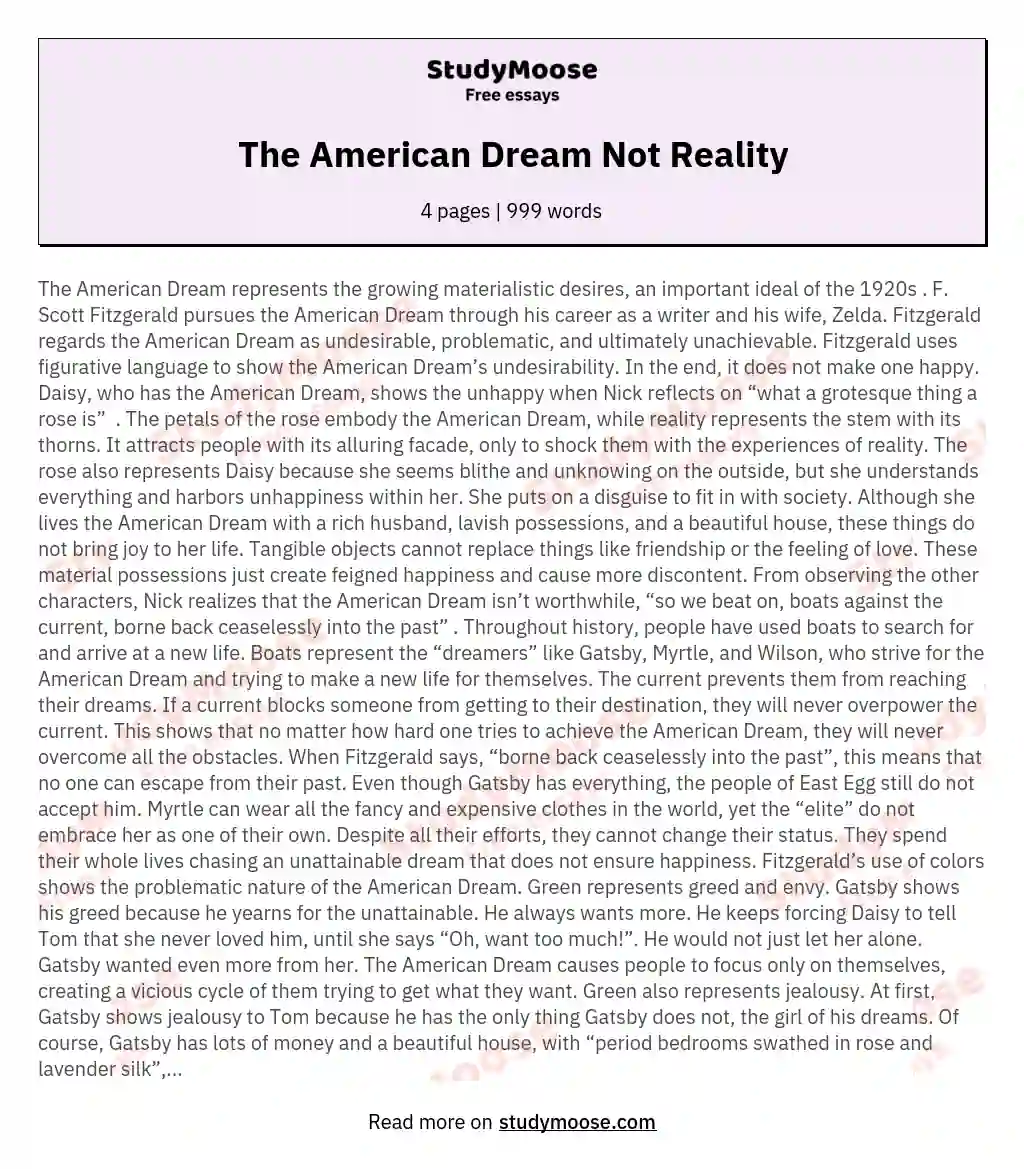The American Dream Not Reality essay