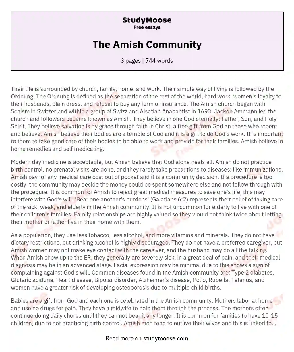 The Amish Community essay