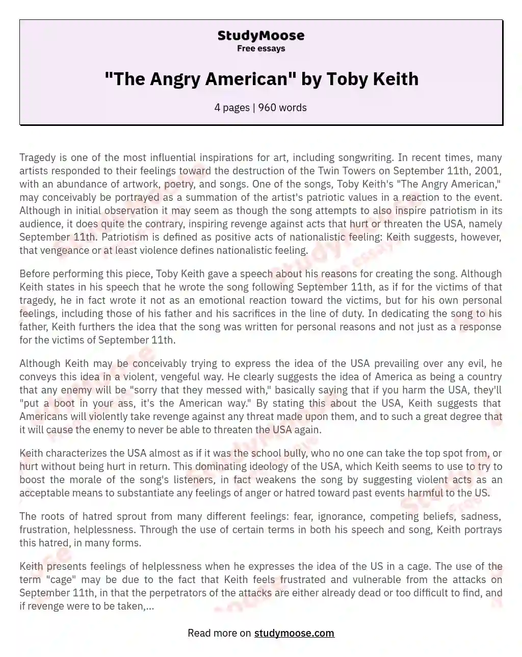 "The Angry American" by Toby Keith essay