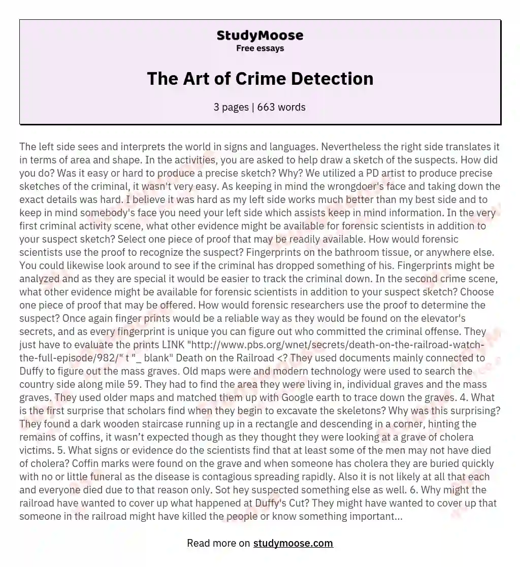 The Art of Crime Detection essay
