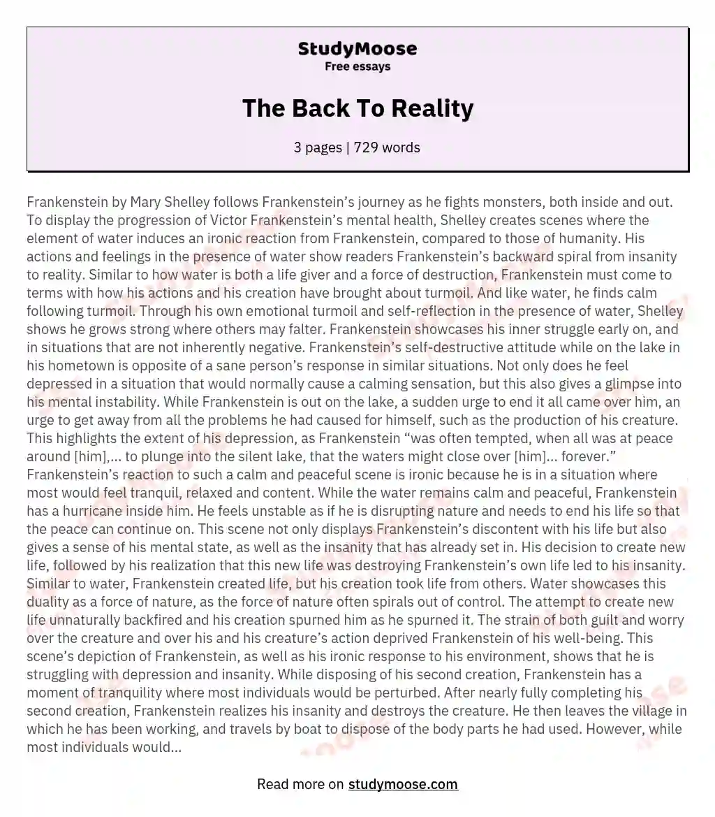 The Back To Reality essay