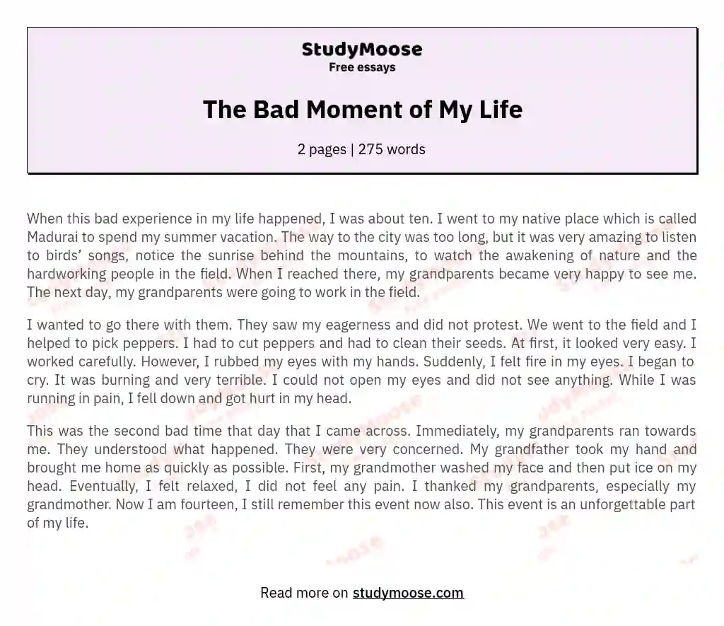 The Bad Moment of My Life essay