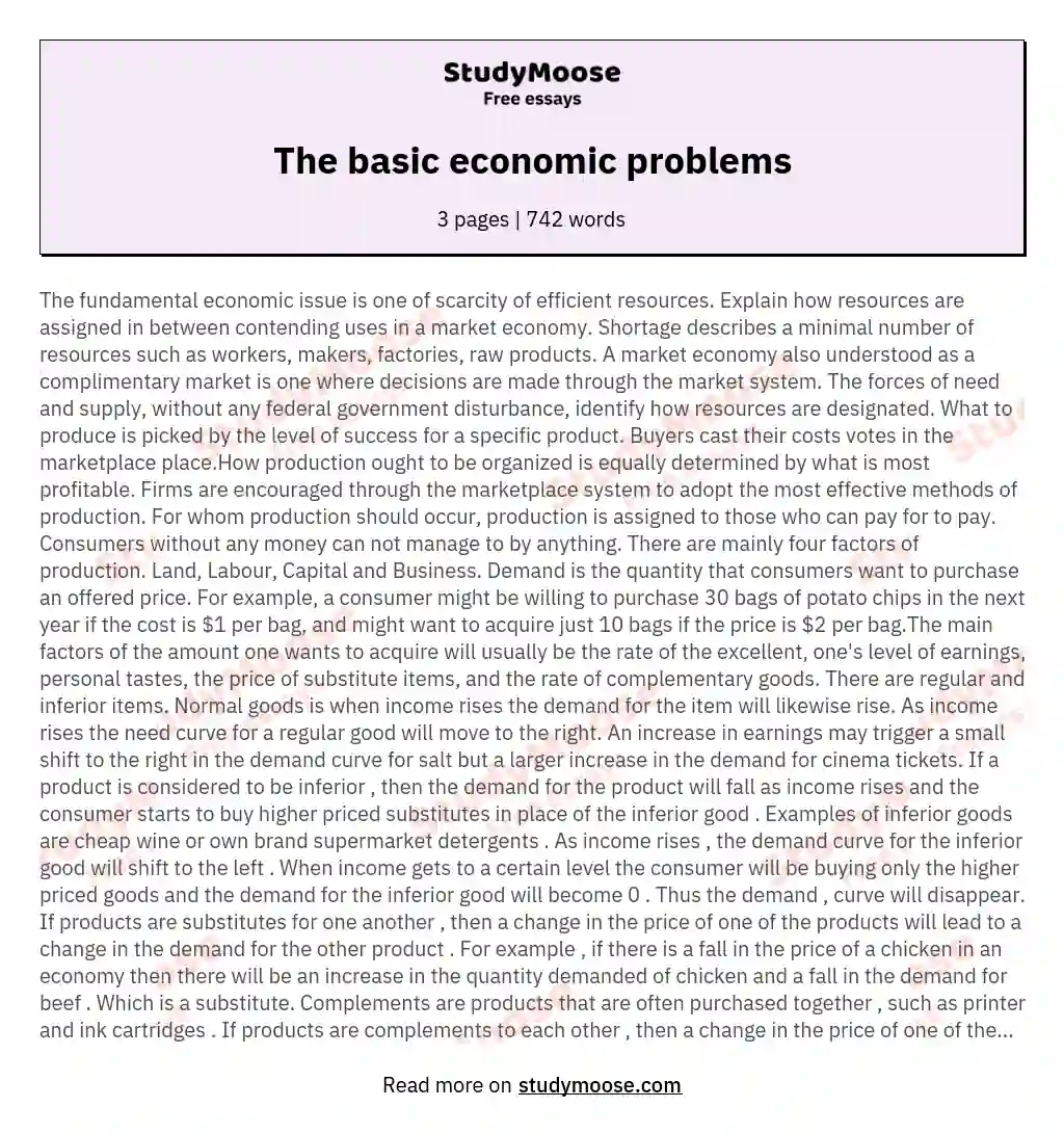 The basic economic problems essay