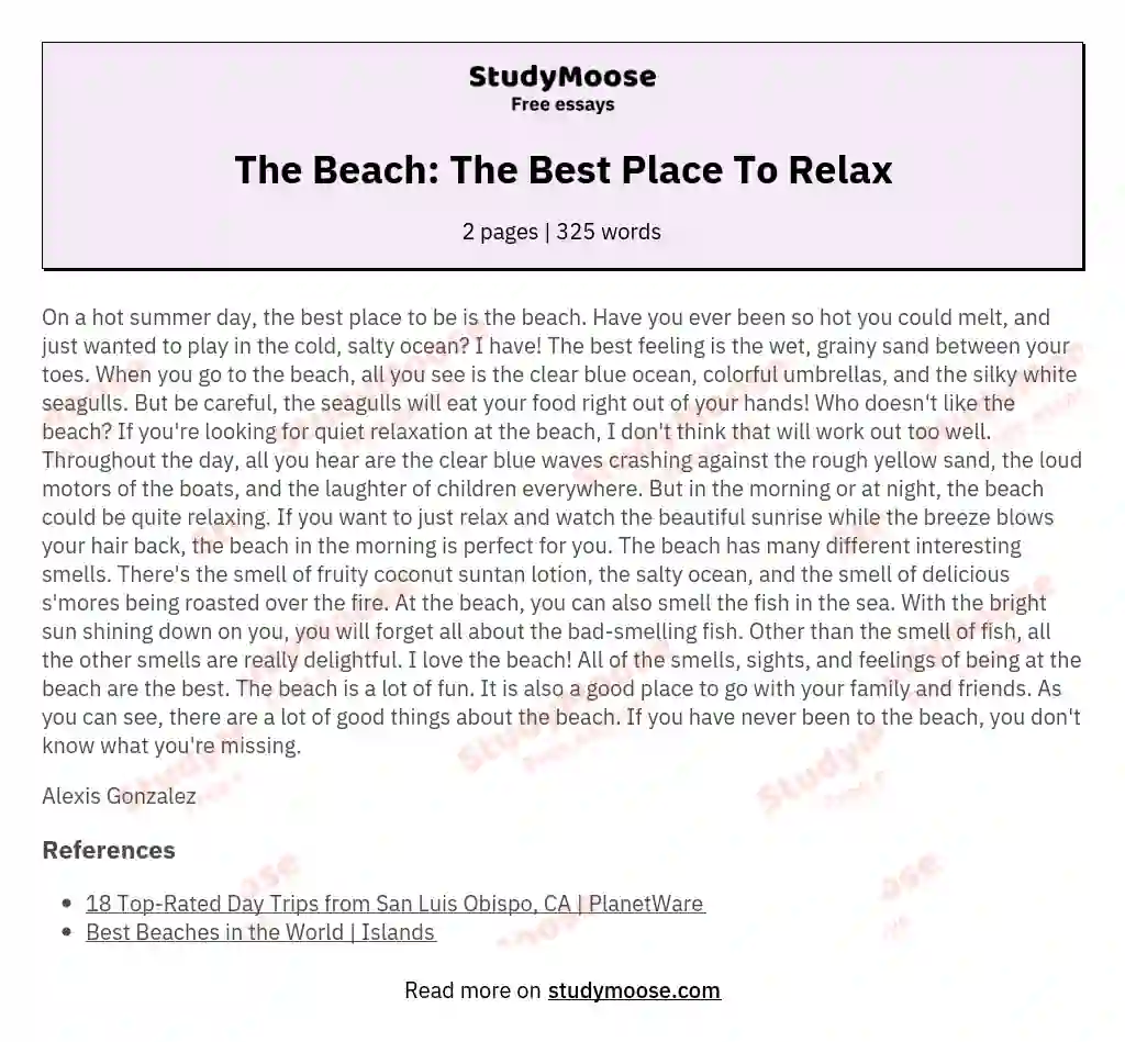 The Beach: The Best Place To Relax essay