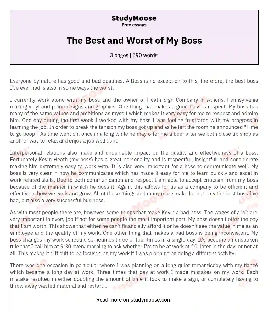 The Best and Worst of My Boss essay