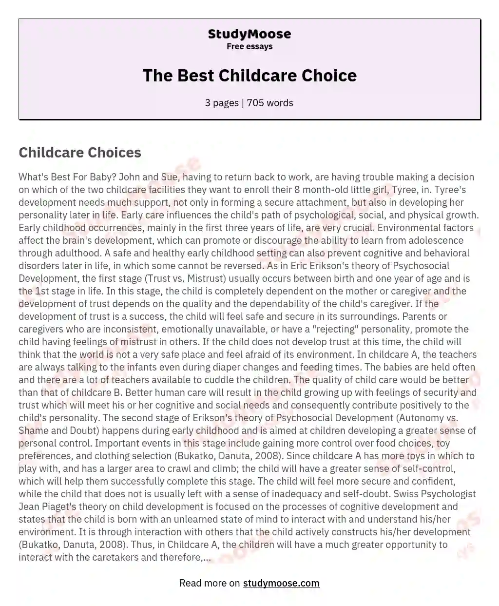 The Best Childcare Choice essay