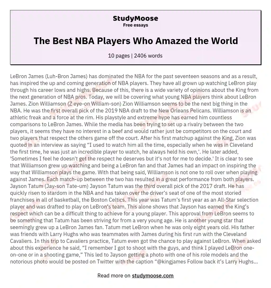 The Best NBA Players Who Amazed the World essay