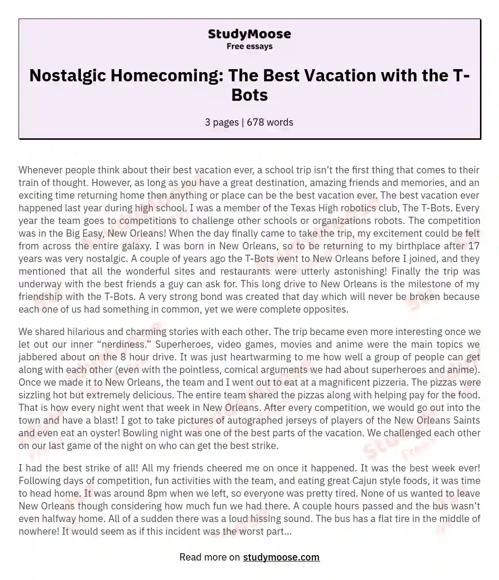 Nostalgic Homecoming: The Best Vacation with the T-Bots essay