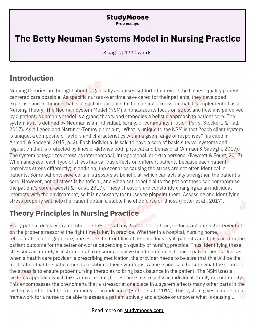 The Betty Neuman Systems Model in Nursing Practice essay
